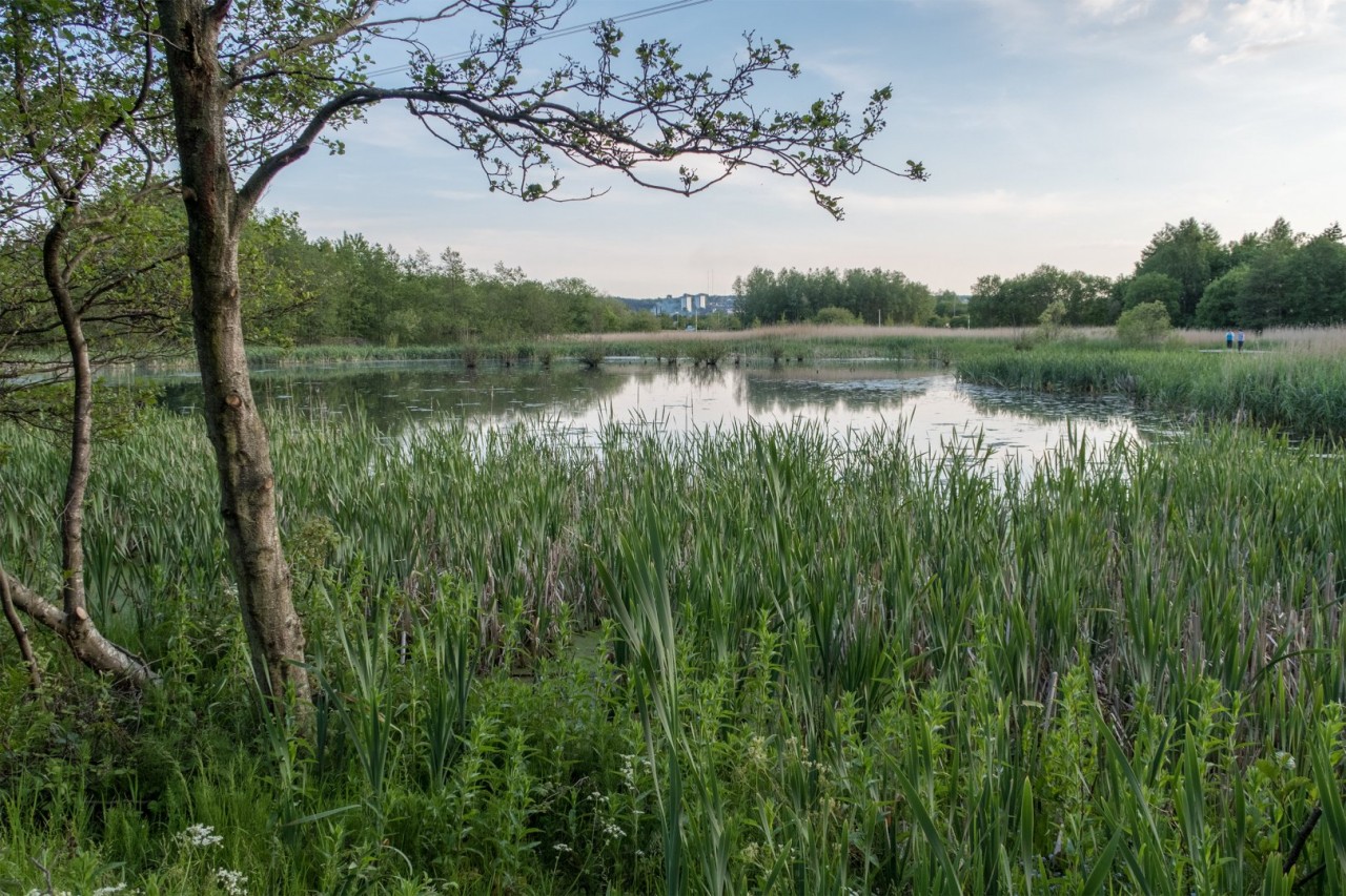 2015-06-11 Helix Walk 002